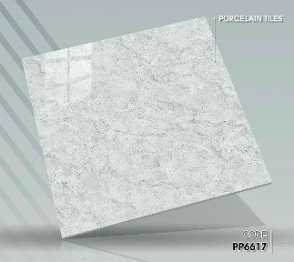 Pancera PP 6617